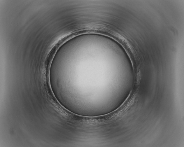 X0000113131019200909181705