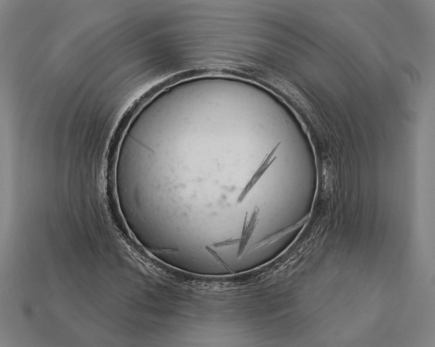 X0000113131020200909181705