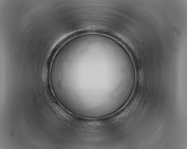 X0000113131021200909181705