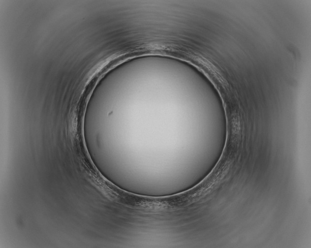 X0000113131023200909181705