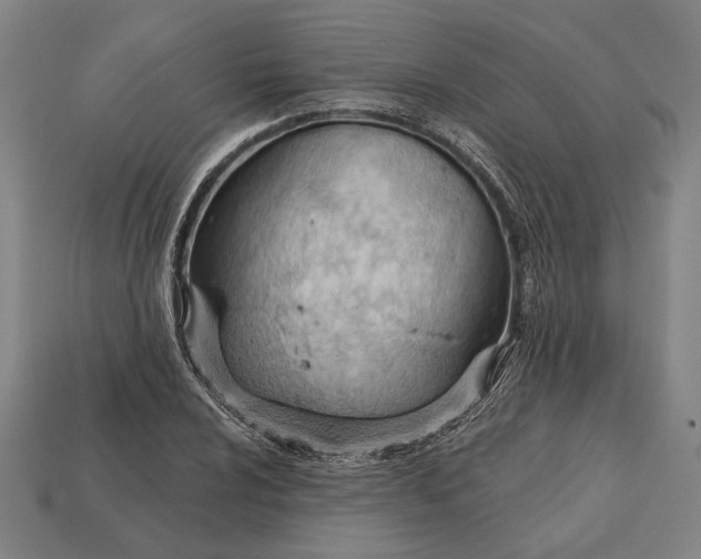 X0000113131024200909181705