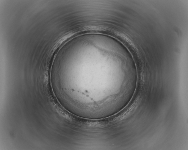 X0000113131025200909181705