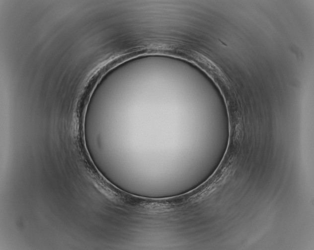 X0000113131027200909181705