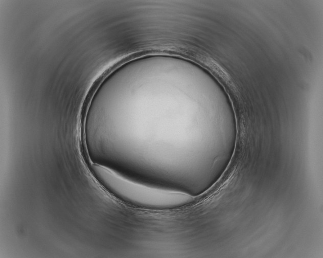 X0000113131028200909181705