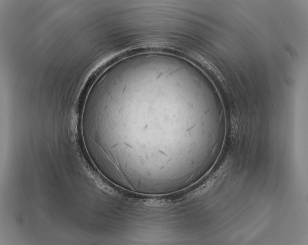 X0000113131029200909181705