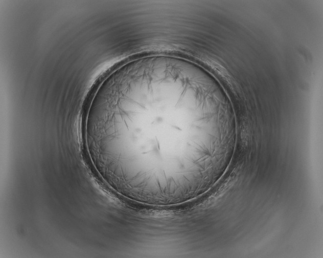 X0000113131030200909181705