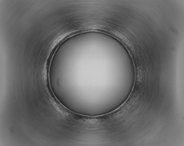 X0000113131031200909181705