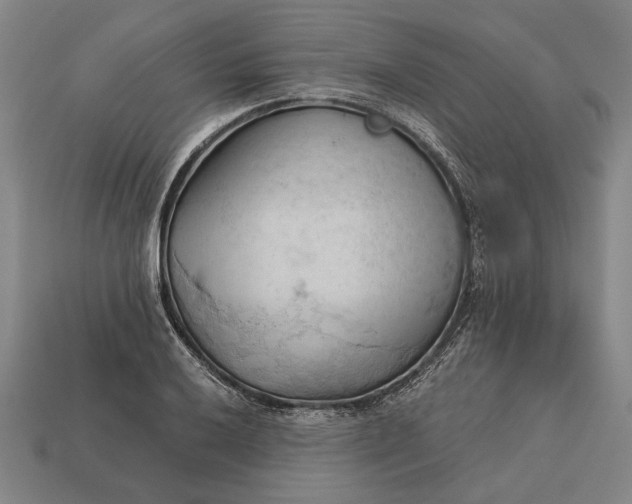 X0000113131032200909181705