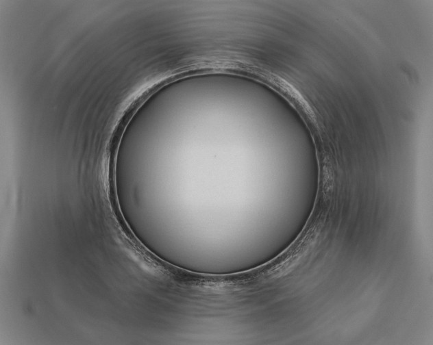 X0000113131035200909181705