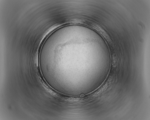 X0000113131036200909181705