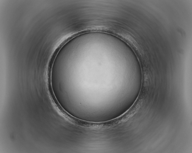 X0000113131038200909181705