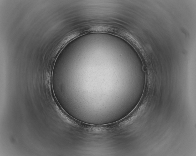 X0000113131041200909181705