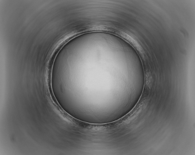 X0000113131043200909181705