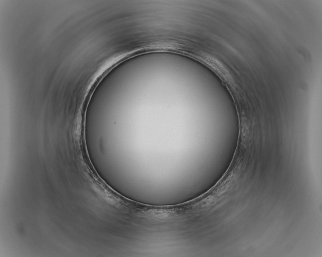 X0000113131044200909181705