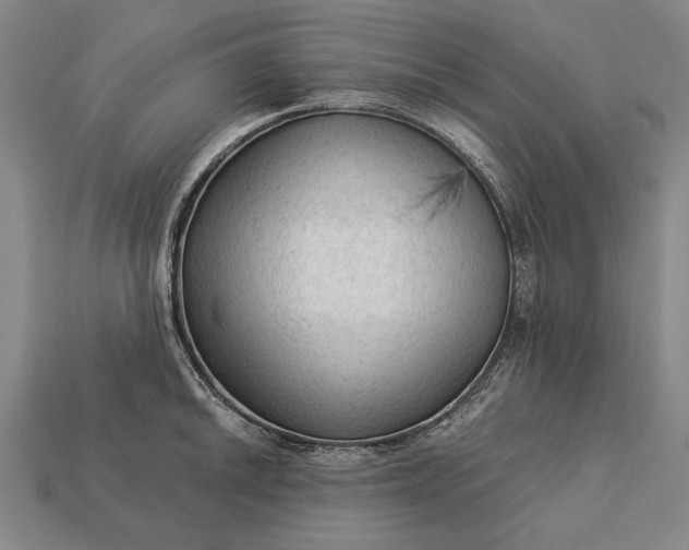 X0000113131046200909181705