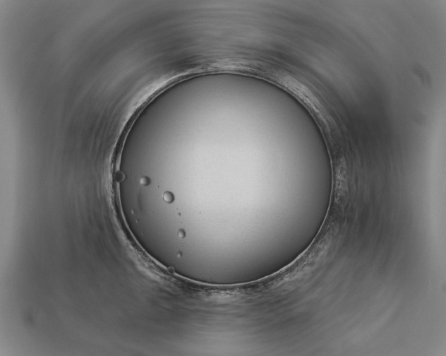 X0000113131047200909181705