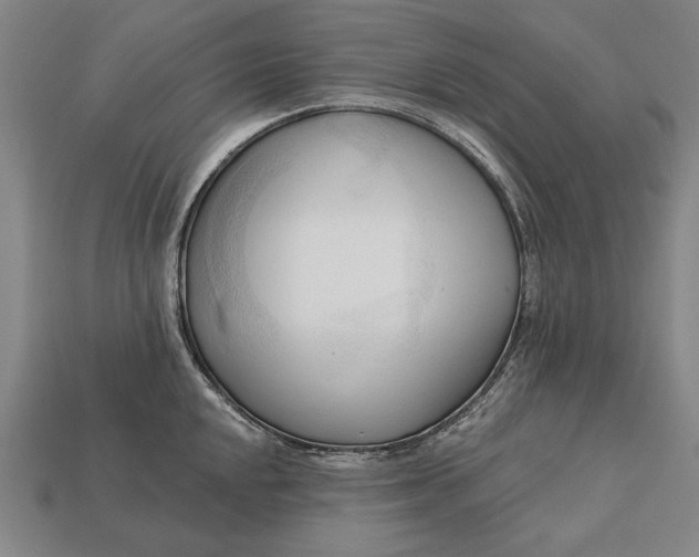 X0000113131048200909181705