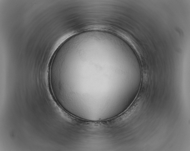 X0000113131050200909181705