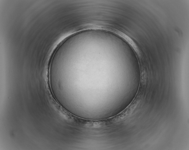 X0000113131051200909181705