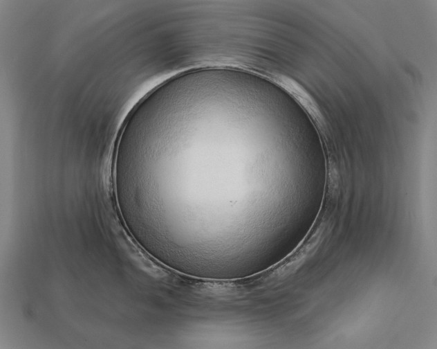 X0000113131052200909181705