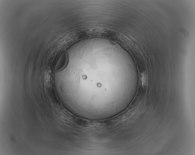 X0000113131059200909181705