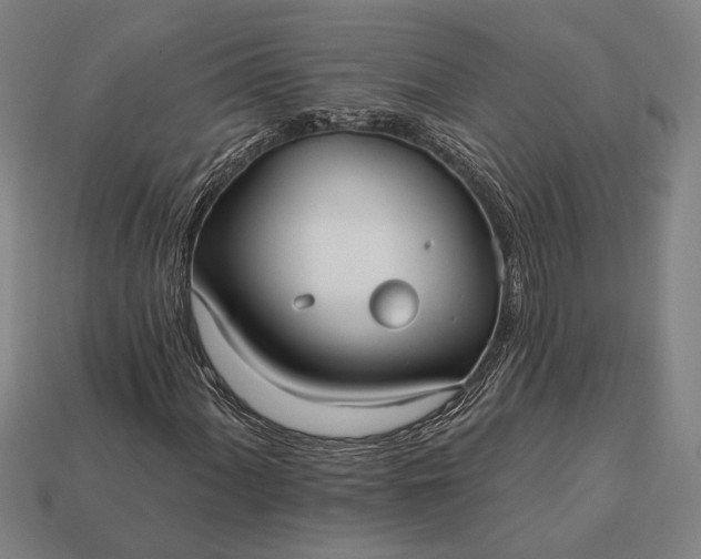 X0000113131060200909181705