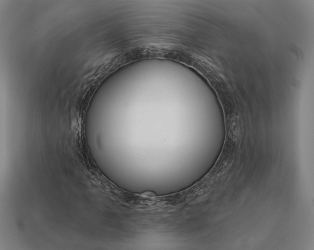 X0000113131061200909181705