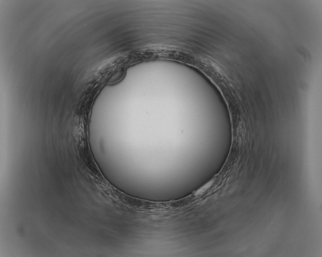 X0000113131062200909181705