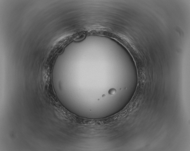 X0000113131063200909181705