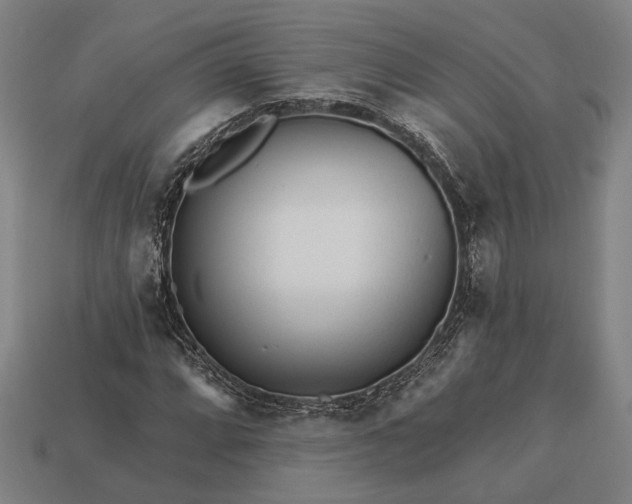 X0000113131064200909181705