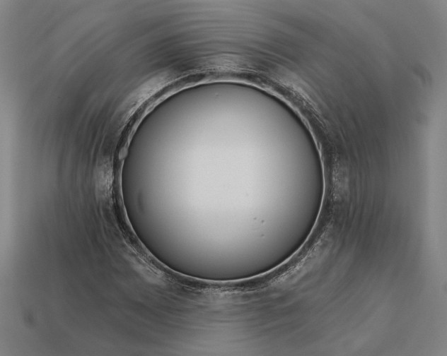 X0000113131065200909181705