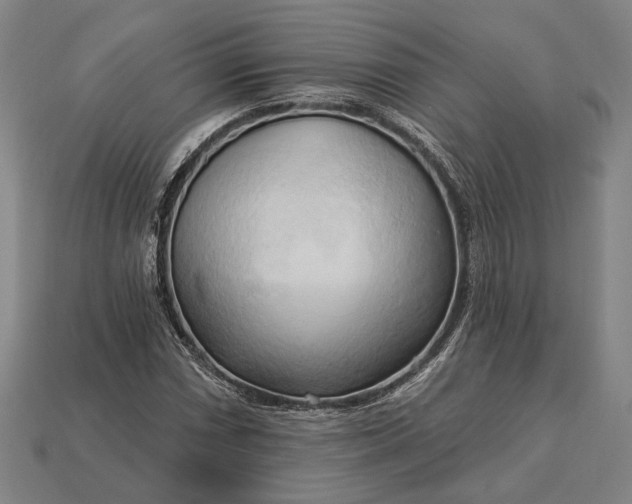 X0000113131066200909181705