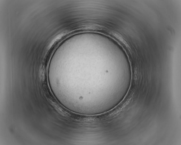 X0000113131067200909181705