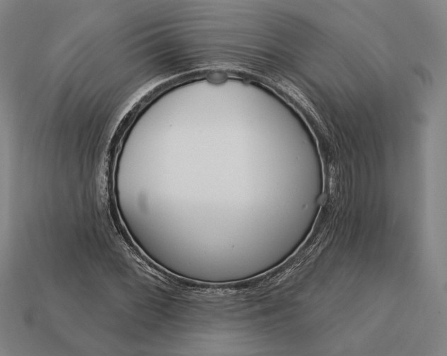 X0000113131068200909181705