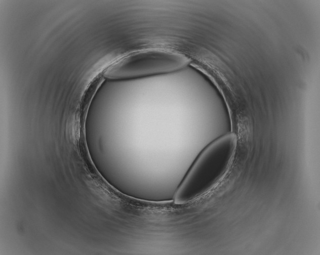 X0000113131069200909181705