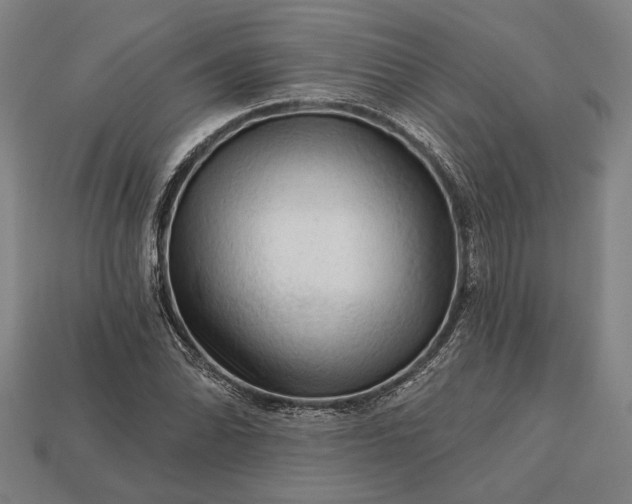 X0000113131070200909181705