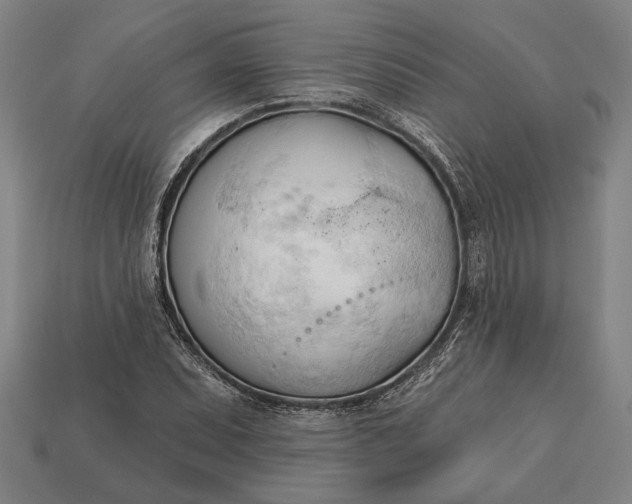 X0000113131071200909181705