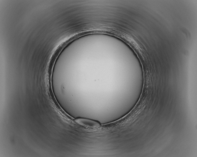 X0000113131072200909181705