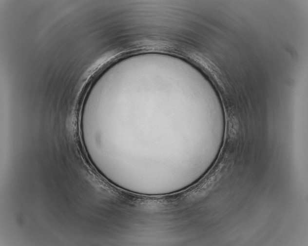 X0000113131074200909181705