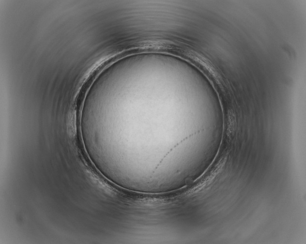 X0000113131075200909181704