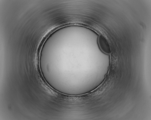 X0000113131076200909181704