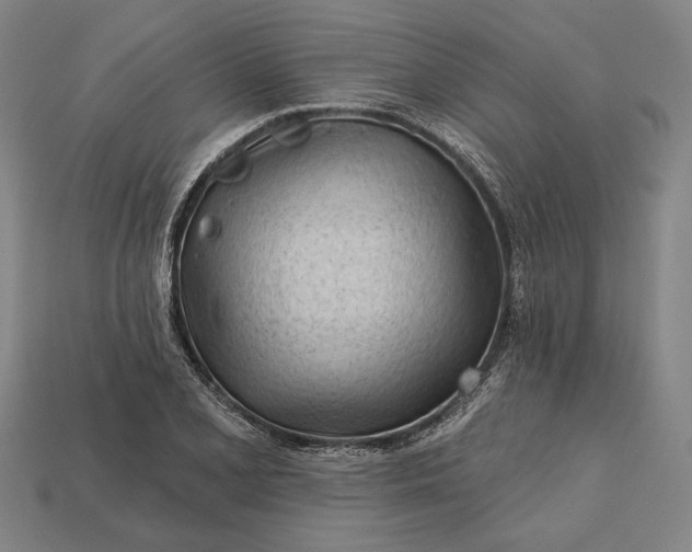 X0000113131077200909181704