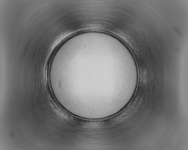 X0000113131078200909181704