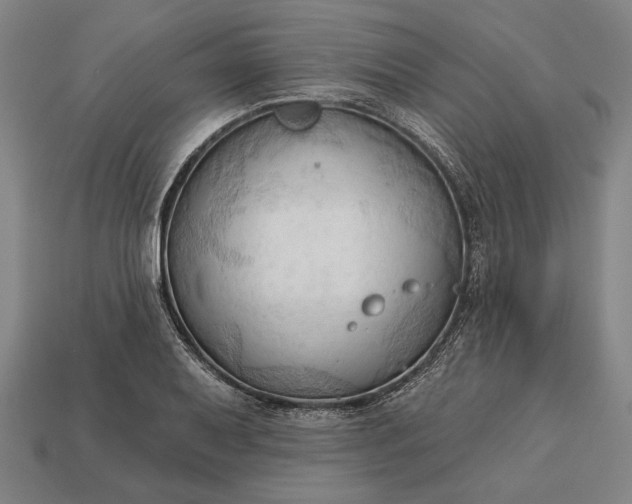 X0000113131079200909181704