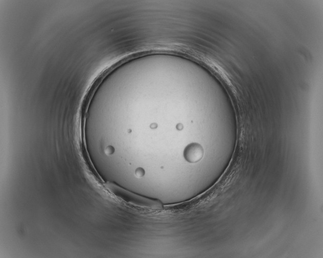 X0000113131080200909181704