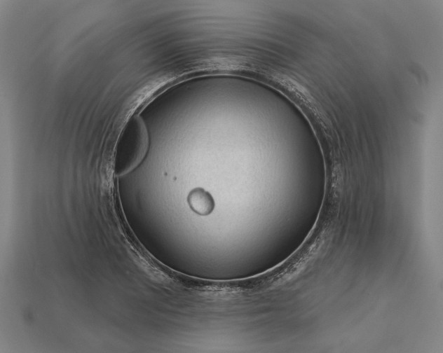 X0000113131081200909181704