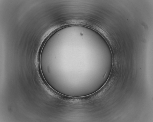 X0000113131082200909181704