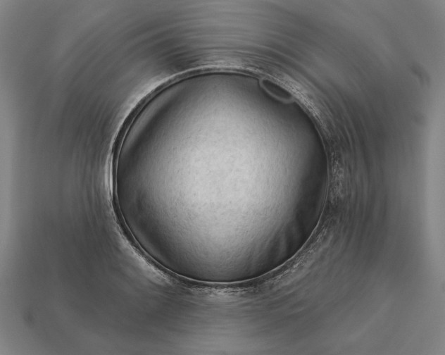 X0000113131084200909181704