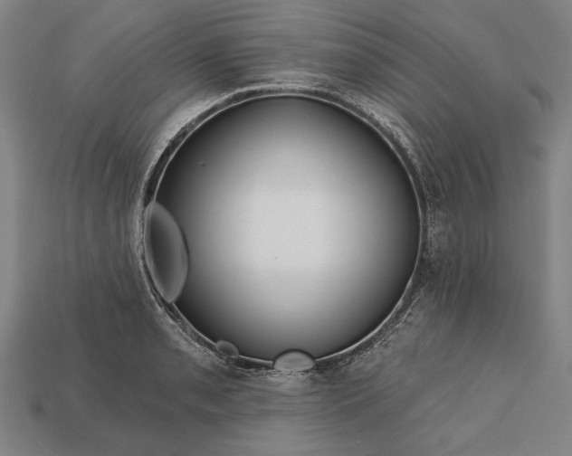 X0000113131085200909181704