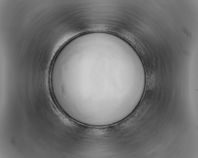 X0000113131086200909181704